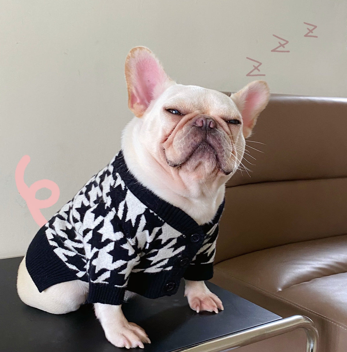 Pet Tide Brand Dog Cat Fall Winter Sweater for Puppies