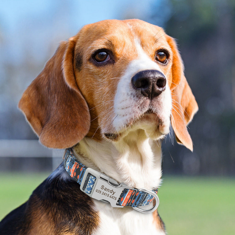 Personalized Nylon Dog & Cat Collar — Adjustable, Custom Name, Multiple Colors