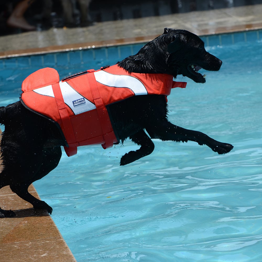 Adjustable Mermaid Shark Dog Life Vest for Swimming