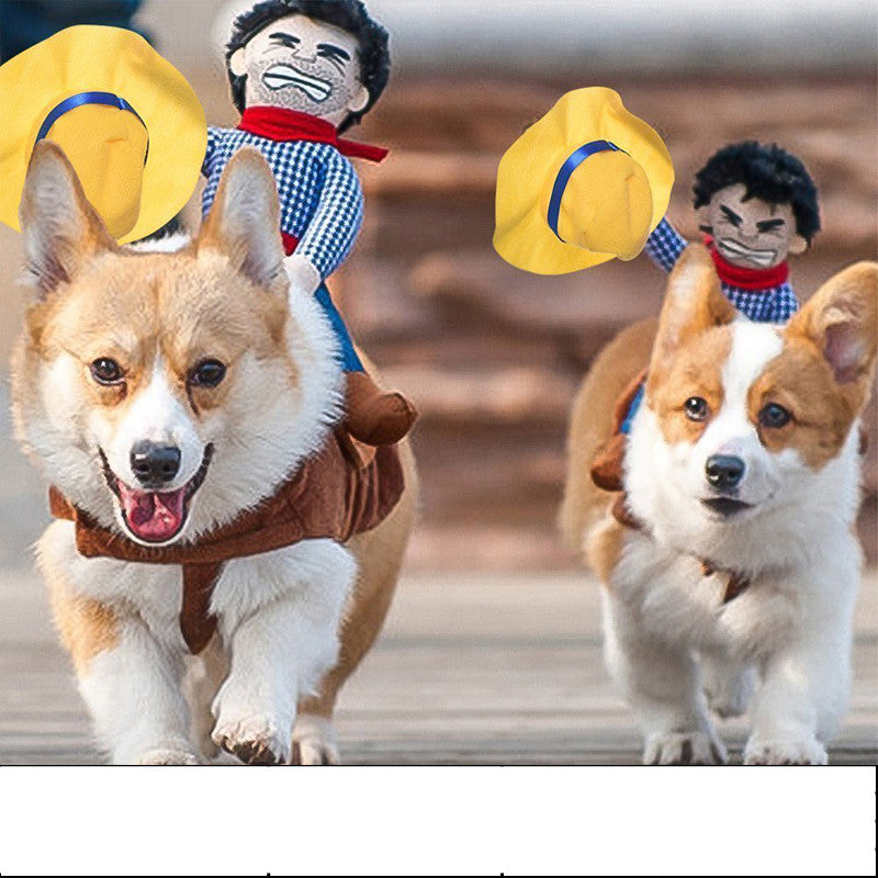 Funny Lion Costume for Dogs and Cats