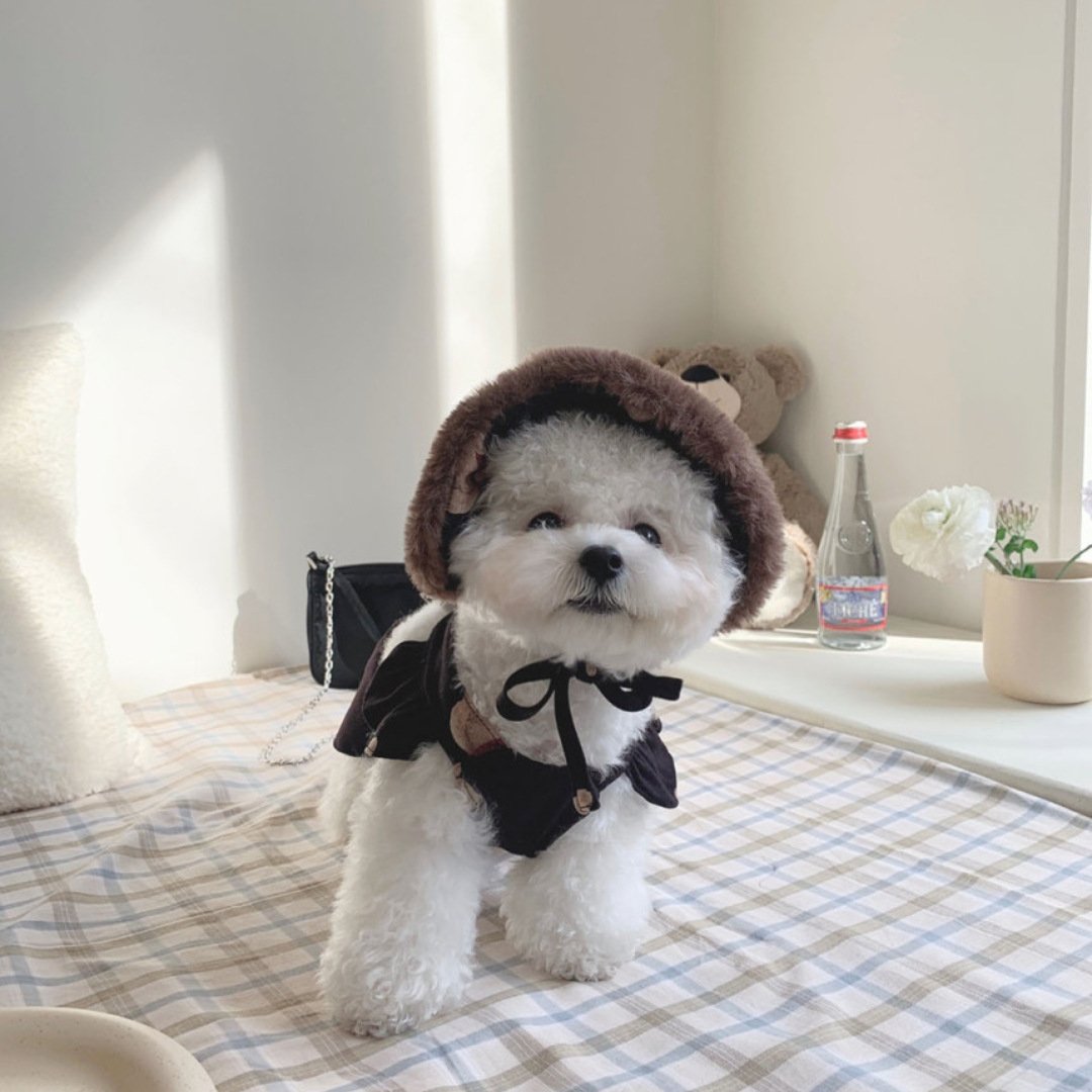 Cute Bear Suspender Skirt for Bichon Teddy Dogs