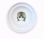 Elevated Cat Bowl Holder for Spine Health — Ergonomic Ceramic Feeding Station, Single or Double