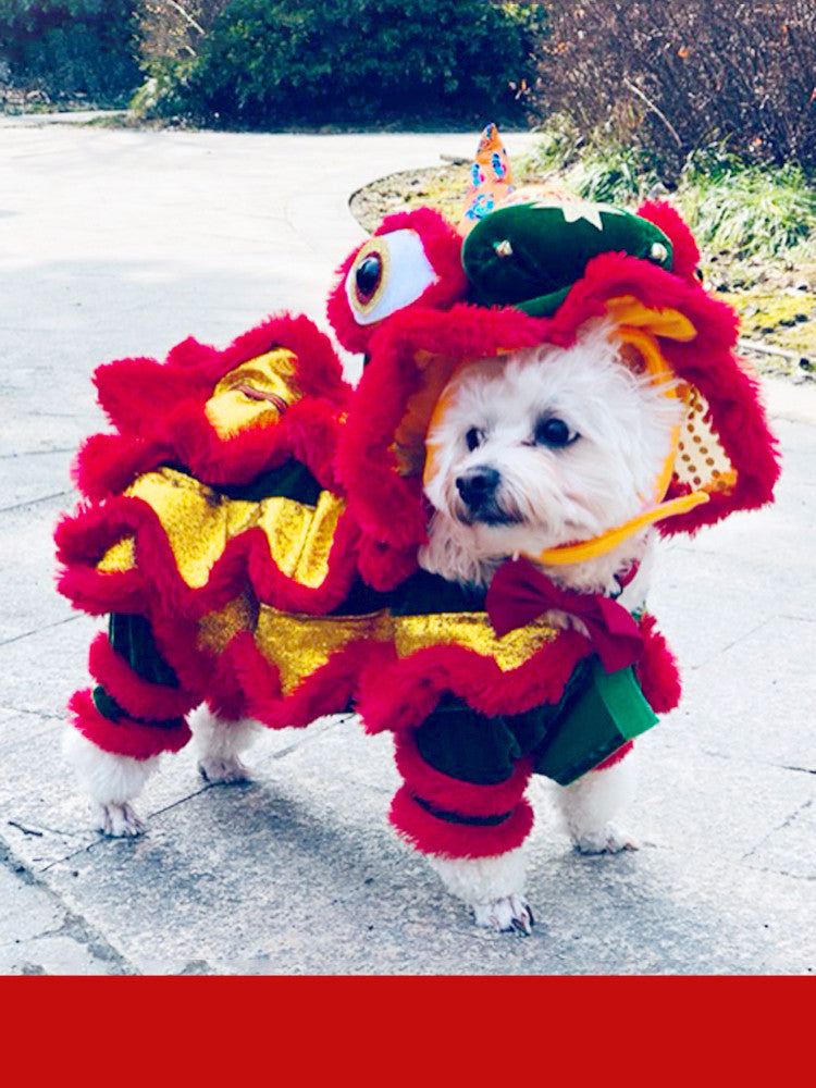 Funny Lion Costume for Dogs and Cats